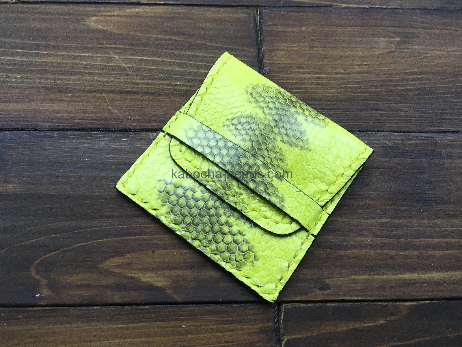 R-Ot-004c ウミヘビ